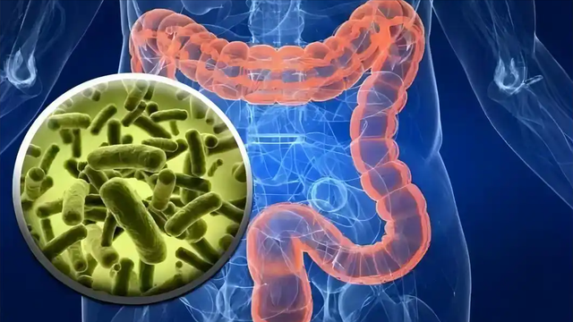 医生研究发现：经常吃芋头的人	，用不了多久，肠胃或有这7个变化