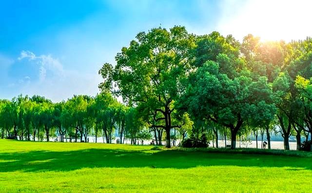 两性关系：你懂什么叫“人过五十五，雌雄不再殊”吗？不妨来看看