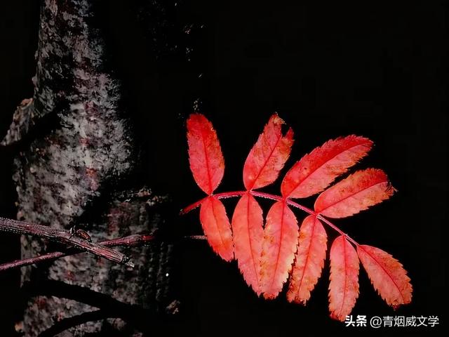 怀来秋日美