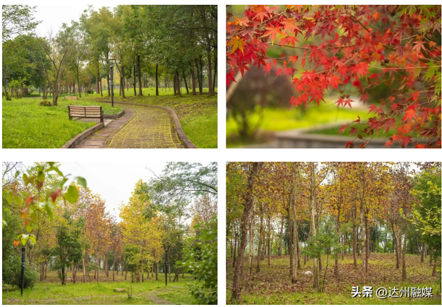 Run渠县，每一步都“热辣滚烫”