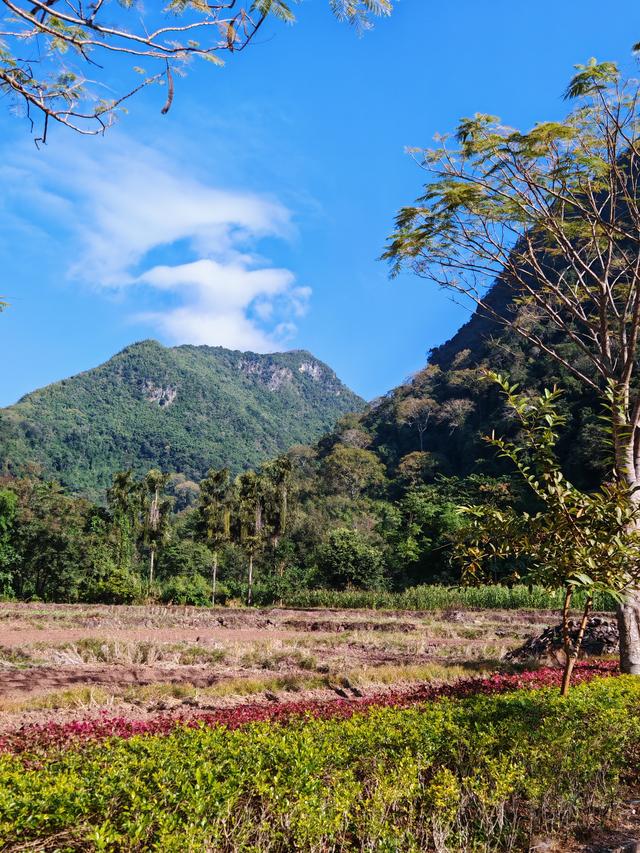 侧耳听鸟语，放眼觅花魂——游勐远仙境