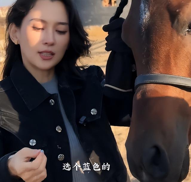 森林北分享养马日常，铲马粪修马蹄接地气，穿紧身裤三角区显尴尬