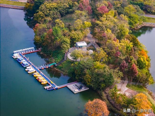 自驾南京全境攻略！六天保姆线路，串联热门景点免费营地特色美食