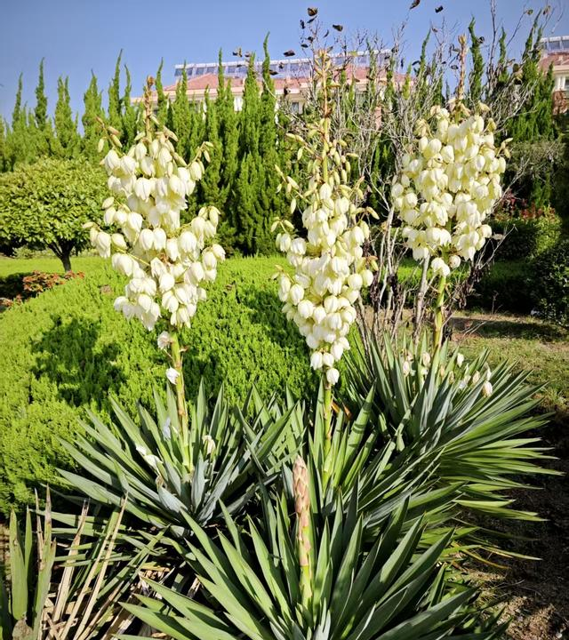 六十五岁阿姨深蹲半年	，骨密度报告从-3.0升到-1.8，医生直呼少见