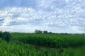 1平方公里是多少亩？图片