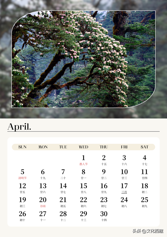 去了西藏墨脱，就等于去了全世界！