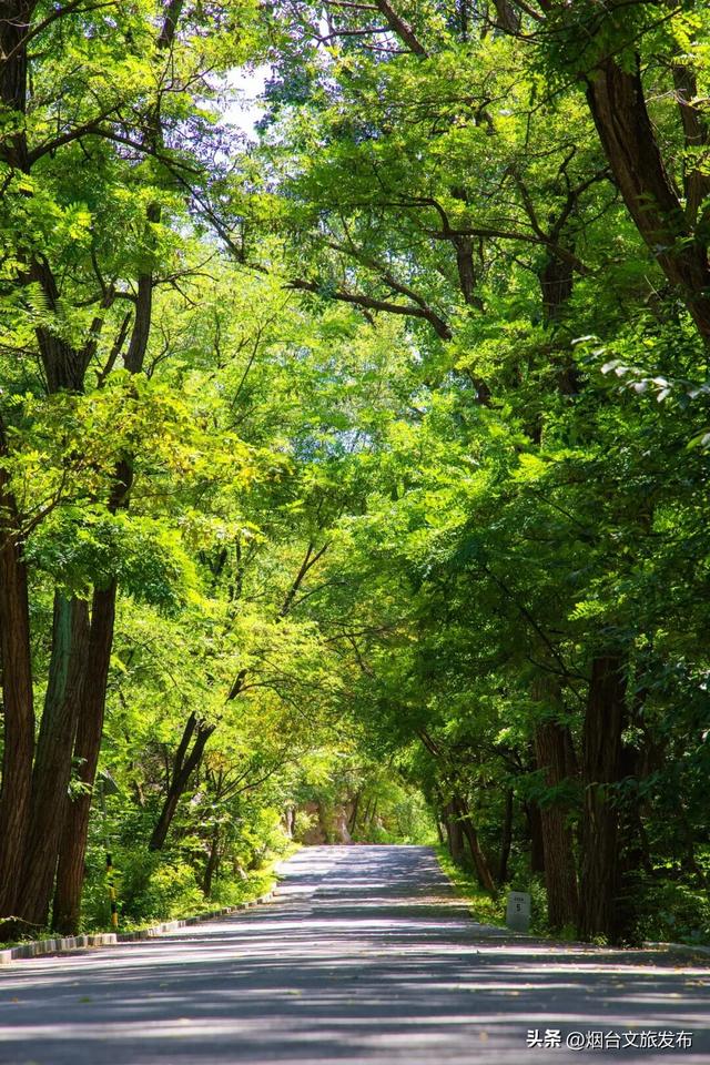 【乐游烟台】登高首选！烟台这个宝藏秘境，风景绝美！