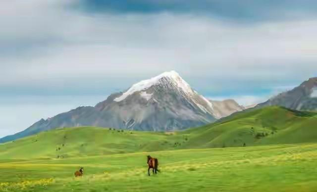 震惊！北京心理专家门诊发现：90%的人病根竞是“想太多”！