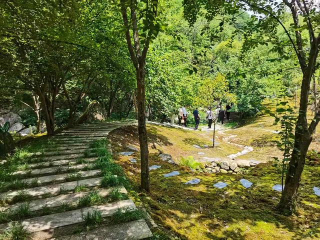 宁陕县：山水清幽苍龙峡