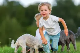 家里来了3种动物，千万不要打，知道是哪3种动物吗图片