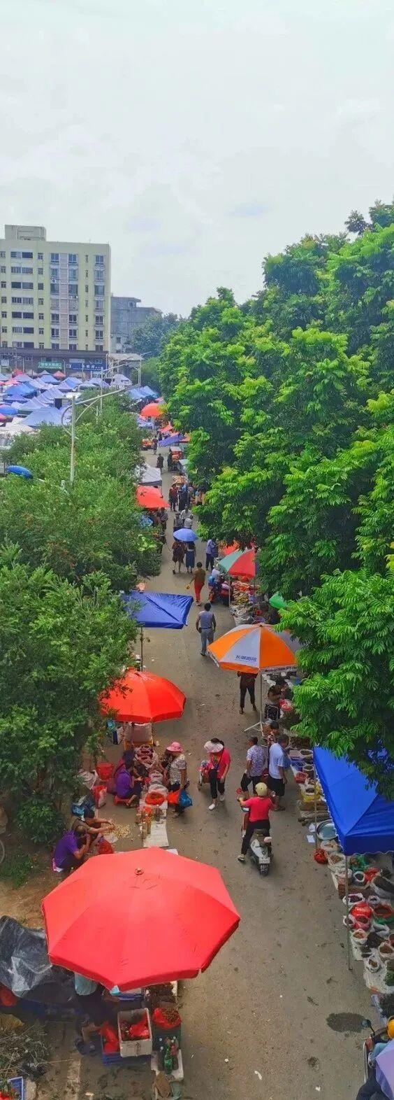 趁墟了喂！打卡从化鳌头墟，感受烟火里的人文慢时光