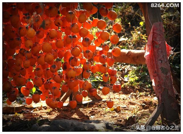 山东行游影记（194）—青州仰天山柿子沟（二）