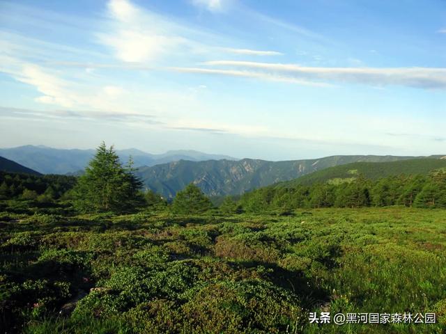 云端漫游，共赏黑河 | 提前解锁初秋的第一份美好