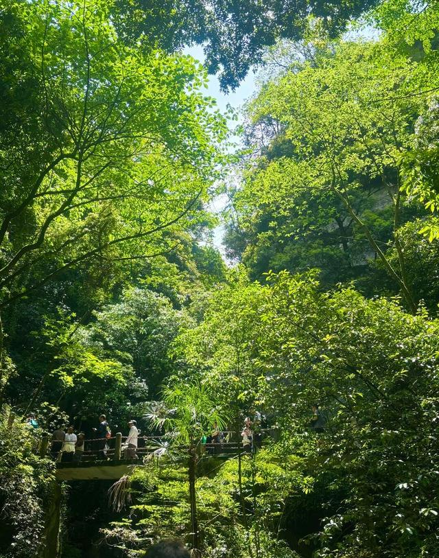 重庆最惨5A景区？当年火到挤破头，如今冷清得只剩风声，本地人