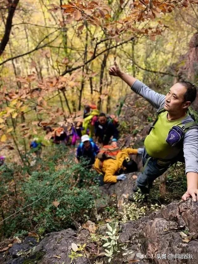 爬草双(外一首)| 罗锋