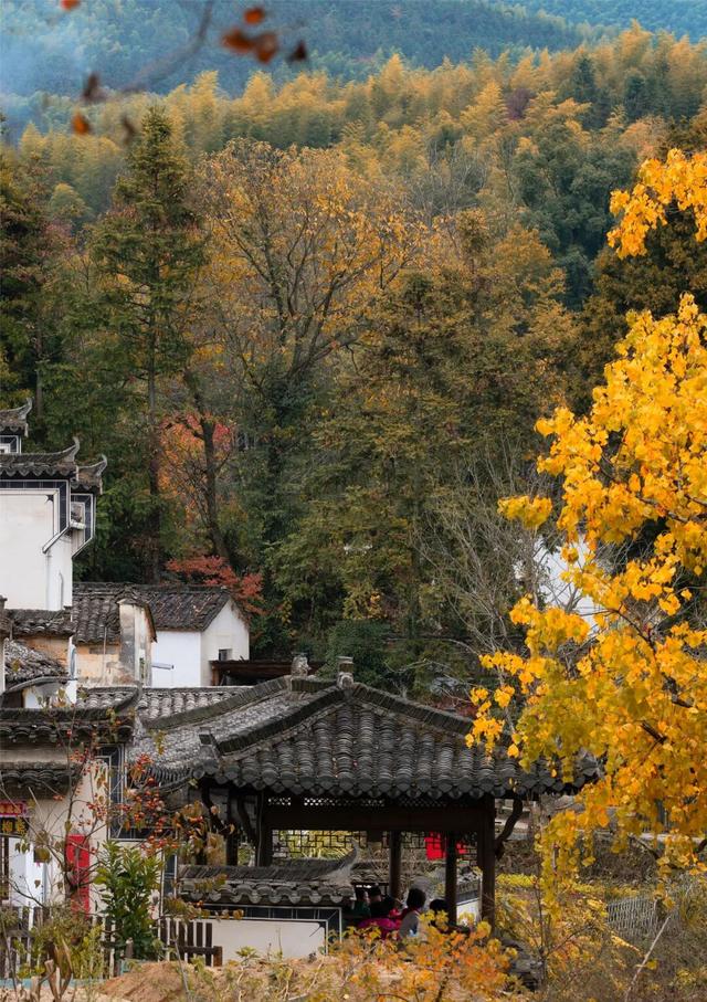 别再只去宏村了！这座水墨小城，藏着大半个徽州的秋，美得更诗意