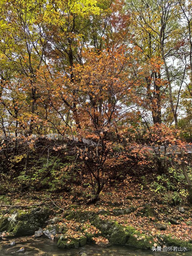 2025辽宁赏秋之旅日记(3)——游览洋湖沟和老边沟