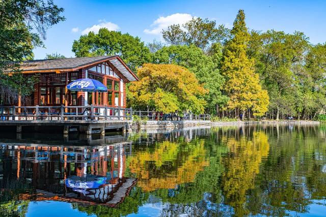 上海值得去的6个公园推荐！全部免费，好看又好玩！你都去过几个