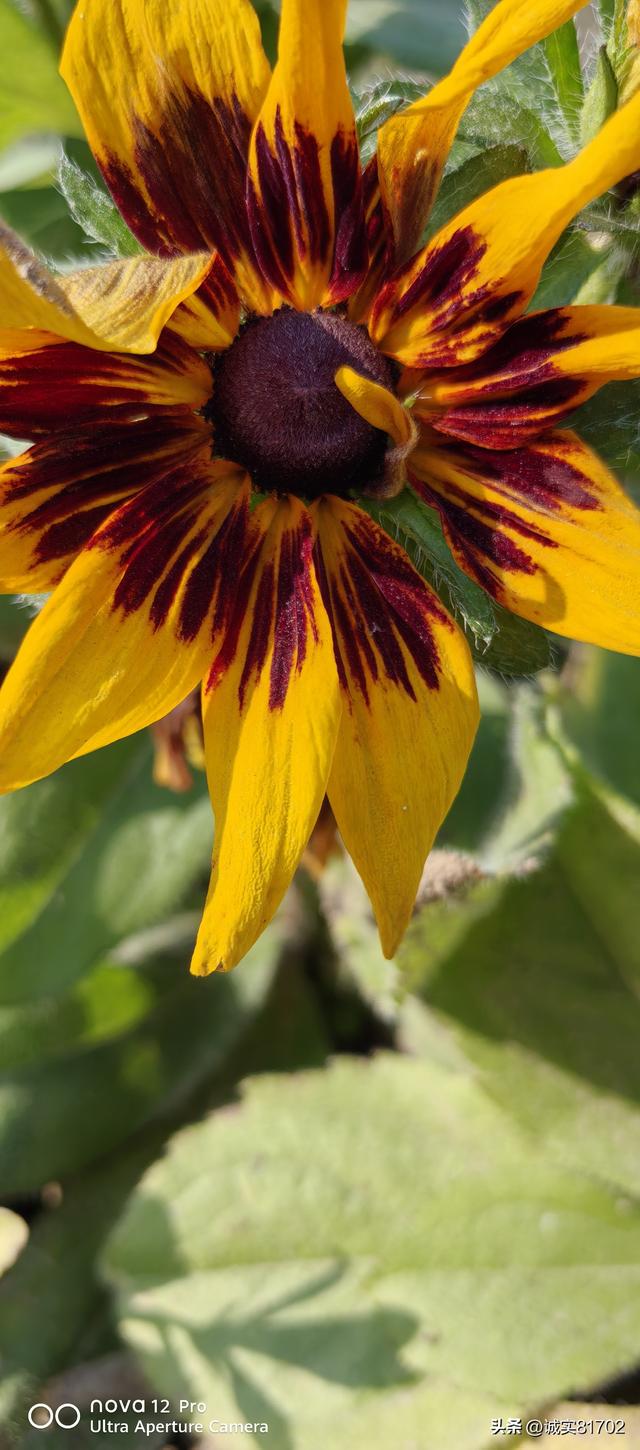 人怕欺骗，情怕伤，人心最害怕是欺骗