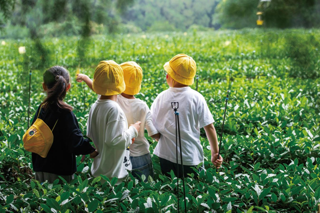 “县”在出发！解锁莒县的N种玩法！