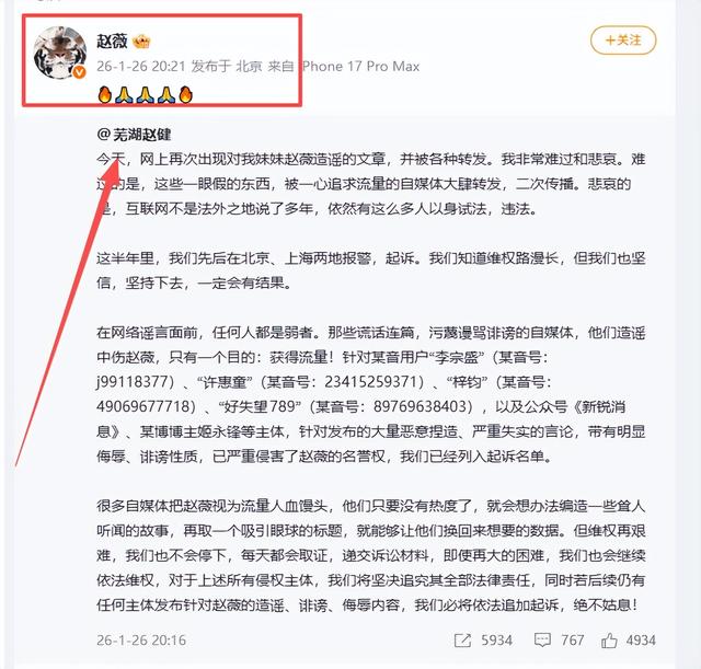 封杀4年，赵薇做梦也没想到，如今56岁哥哥竟成了自己的“救赎”