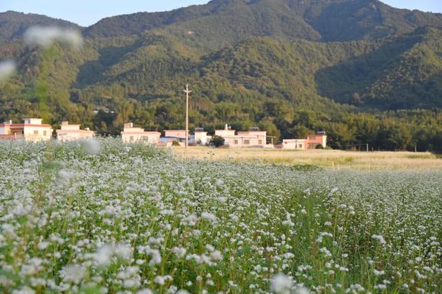 从千年禅钟到荞麦“雪”海，跟着韶关这条治愈秋季美景线路游，超出片！