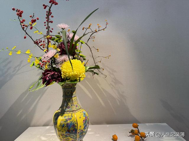 周一陪小姑子去北海公园看菊展