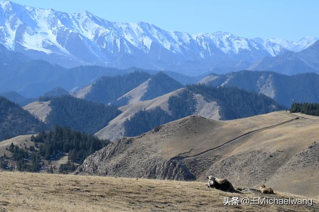 古意秋风三万里（D20）-从临泽县到祁连县