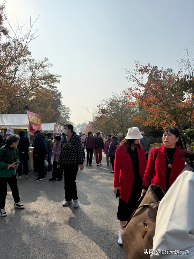 我一上午去了两个公园，