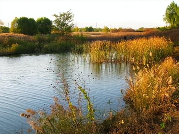 咸阳的秋浸着秦汉底蕴油画，这4 处赏秋地藏着不输长安的千年浪漫