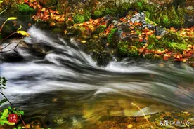 山清水秀，溪水在潺潺流淌,柔和的流动声仿佛是大自然心灵的呼吸图片