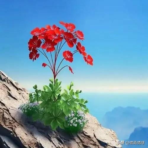 父母的反问式教育：藏在“刀子嘴”下的，往往是颗“豆腐心”