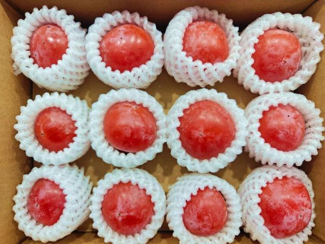 人人拎几箱坐火车！网友：错过等一年！