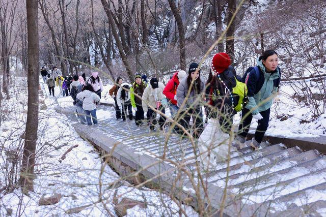 “极峰”织暖：用49次嵩顶行，解码13.17微米羊毛的智慧