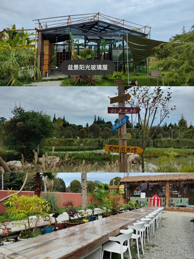 谁还不知道啊！温江藏着个金桂飘香的避世小村落，快冲！