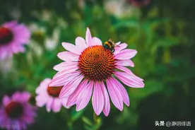 在底层生活，收起你的素养和道德，这样做日子会更好过图片