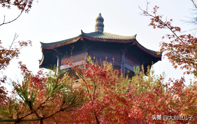 层林尽染秋景如画