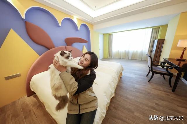 “6+5+3” | 庞各庄西瓜小镇：解锁快乐休闲新地标！