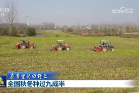 【在希望的田野上】全国秋冬种过九成半图片