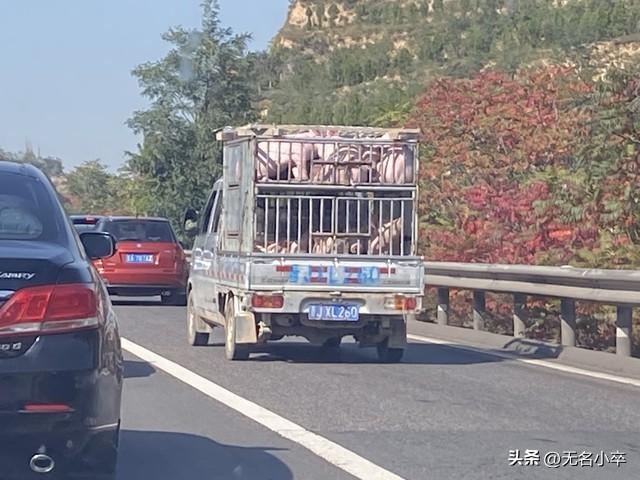 自驾路上最怕撞见这5种“夺命司机”！尤其第3种简直让人原地爆炸