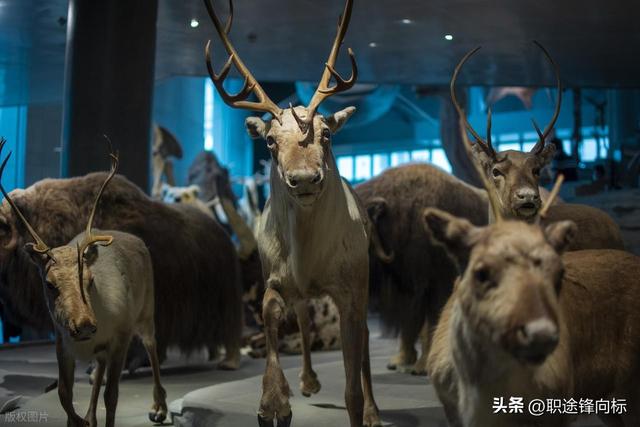 带孩子出游，换一次终身难忘亲子旅行，这9个城市让孩子眼界翻倍