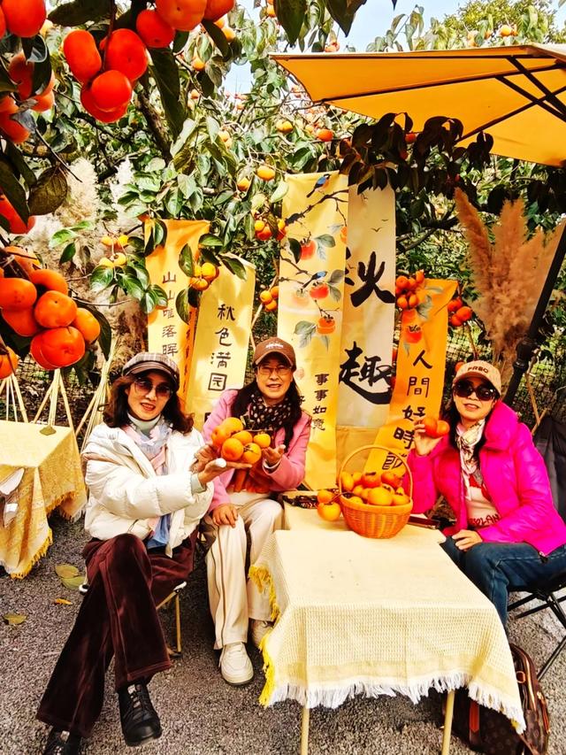 桂林：不入柿园，怎知秋色几许！