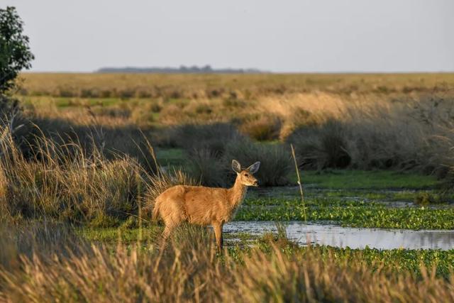地理冷知识—2026全球最佳旅游地