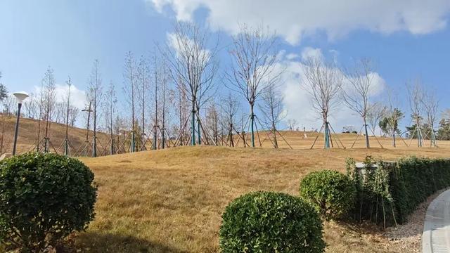 青岛又解锁一“山头秘境”！这座占地10万平米的宝藏公园正式开放！自然与欢乐都在线