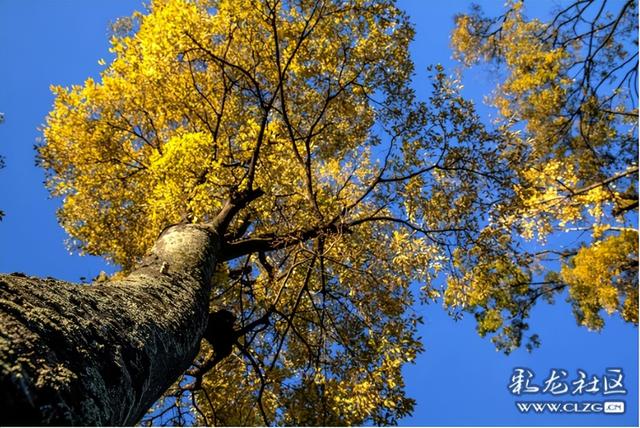 冬日秋韵醉昆明