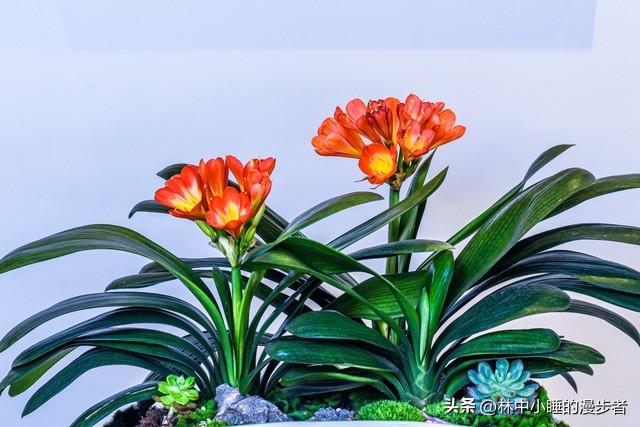 两性关系：男人过65岁，基本上都会有如下现状，具体表现是这样的