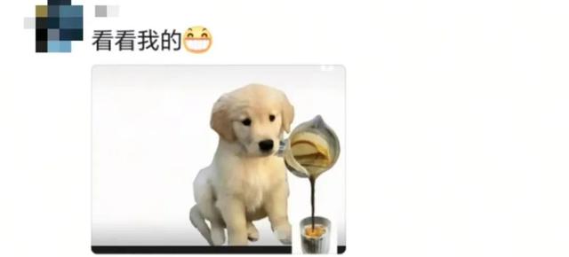 “爸妈，朋友圈背景图这是谁啊？🥺