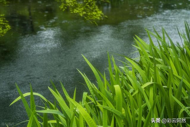 台风来了！本轮降水中心已定，分布以下地区，今日7月18~22号天气