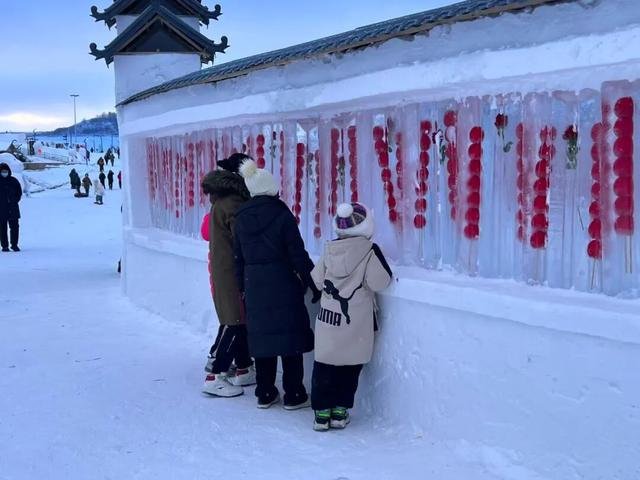 牙克石：大雪节气至 雪域盛景开