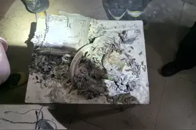 移动电源“火冒三丈”烧毁一个家图片